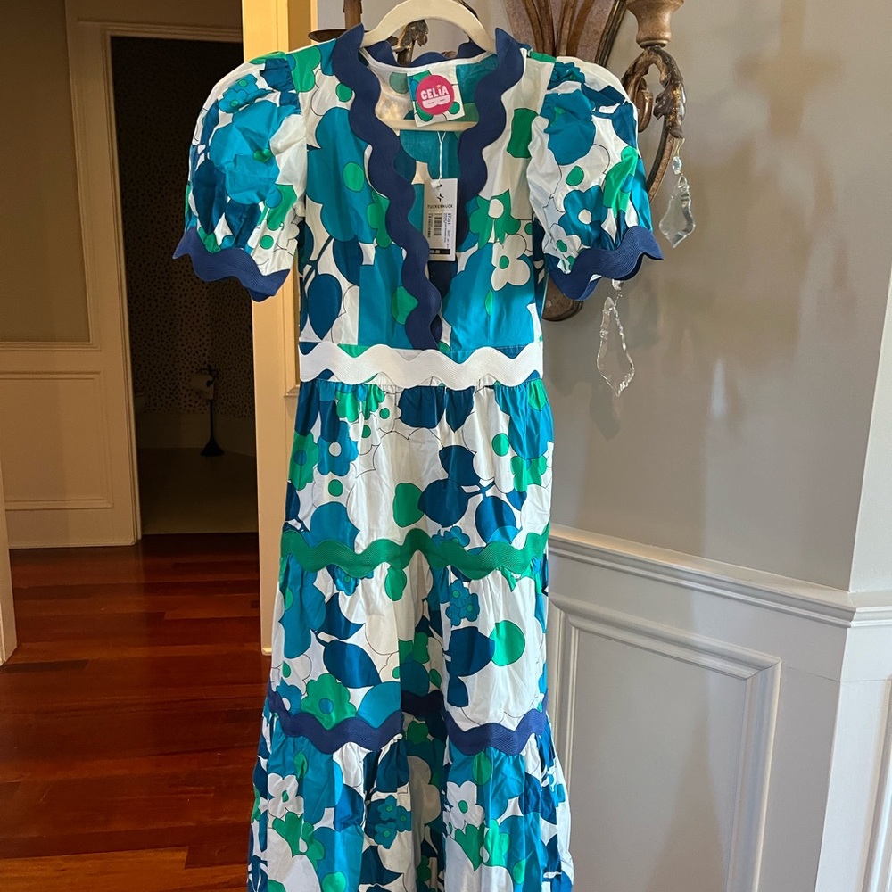 Gorgeous Tuckernuck dress. Xs NWT